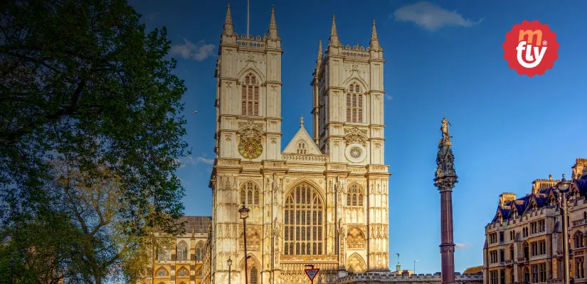 Descripción de la imagen 3