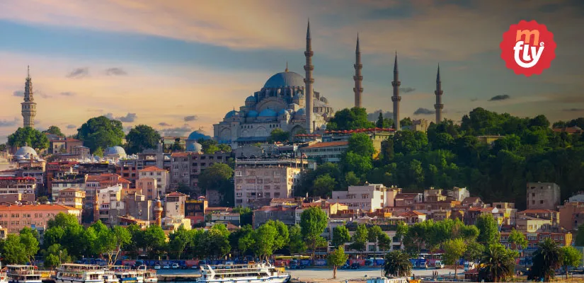 Descripción de la imagen 1